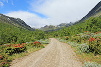 atomsilda_img_0642.jpg