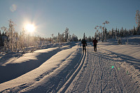 atomsilda_img_1764.jpg