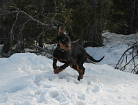 atomsilda_img_1814_a.jpg