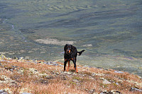 atomsilda_img_2283.jpg