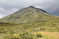 atomsilda_img_2302.jpg