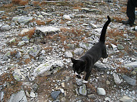 atomsilda_img_5303.jpg