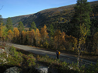 atomsilda_img_7515.jpg