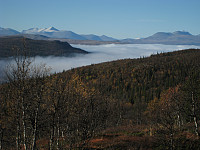 atomsilda_img_7545.jpg