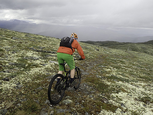 Roy Vidar forsvinner ned mot dalen mellom Steinhø og Storhøe og fra da av ser vi ikke noe mer til syklistene før vi er tilbake på hytta om noen timer.