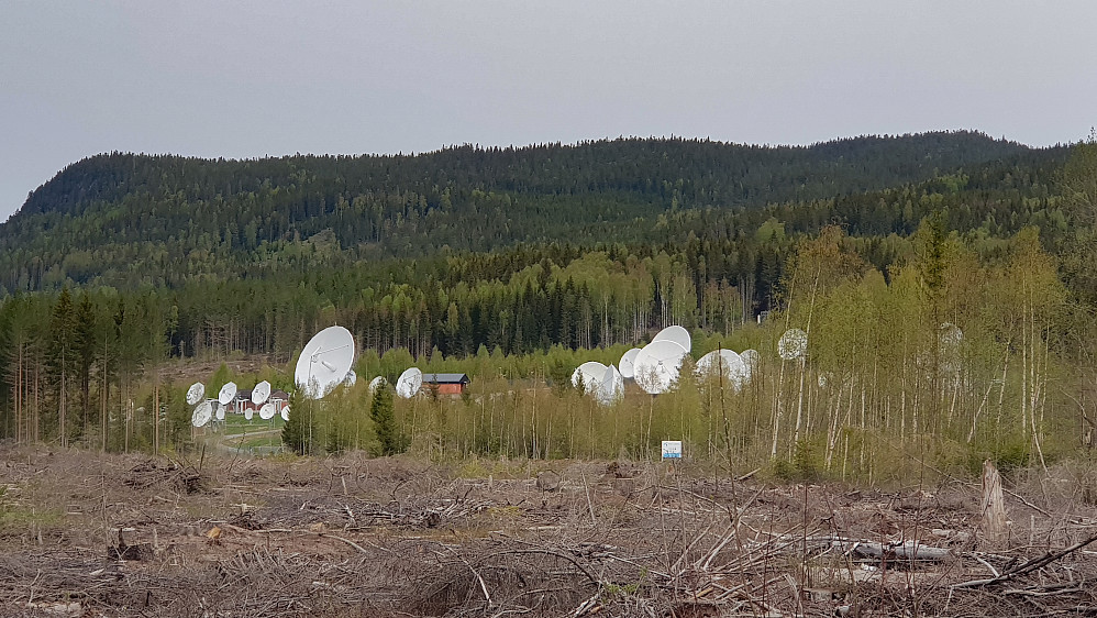 Det er ikke så vanskelig å finne frem til Jordstasjonen i Nittedal. Den syntes godt =)