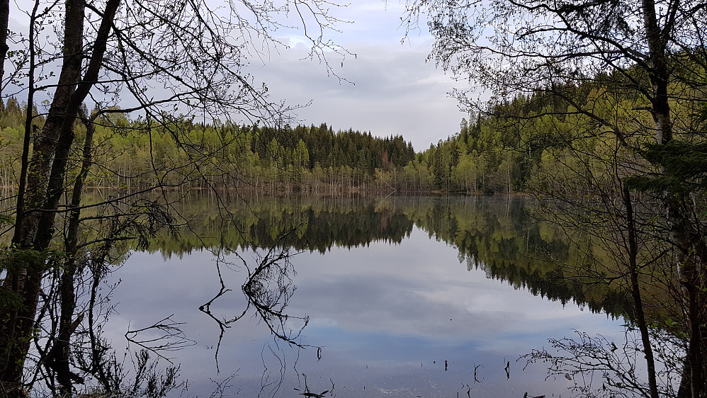 Fikk ikke tatt noe bra bilde som virkelig viser hvor flott det var her...