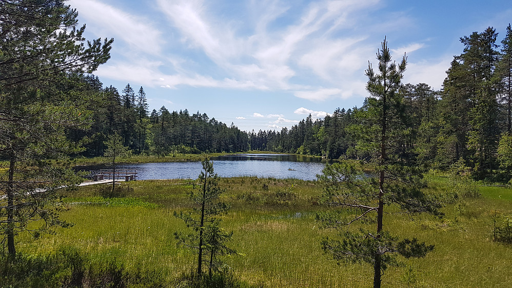 Stille og rolig på søndre Tærudtjern i dag. Bare noen ungdommer som bader langt der borte (høyre side på bildet).