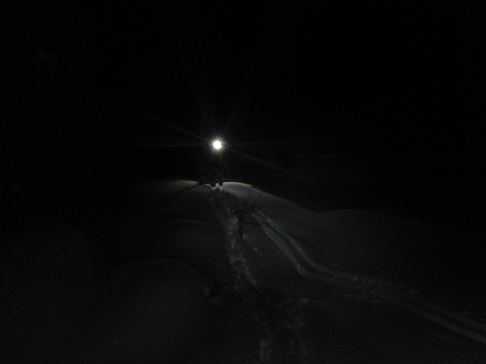 Snøen var som alltid bedre enn bildene på kveldstur.