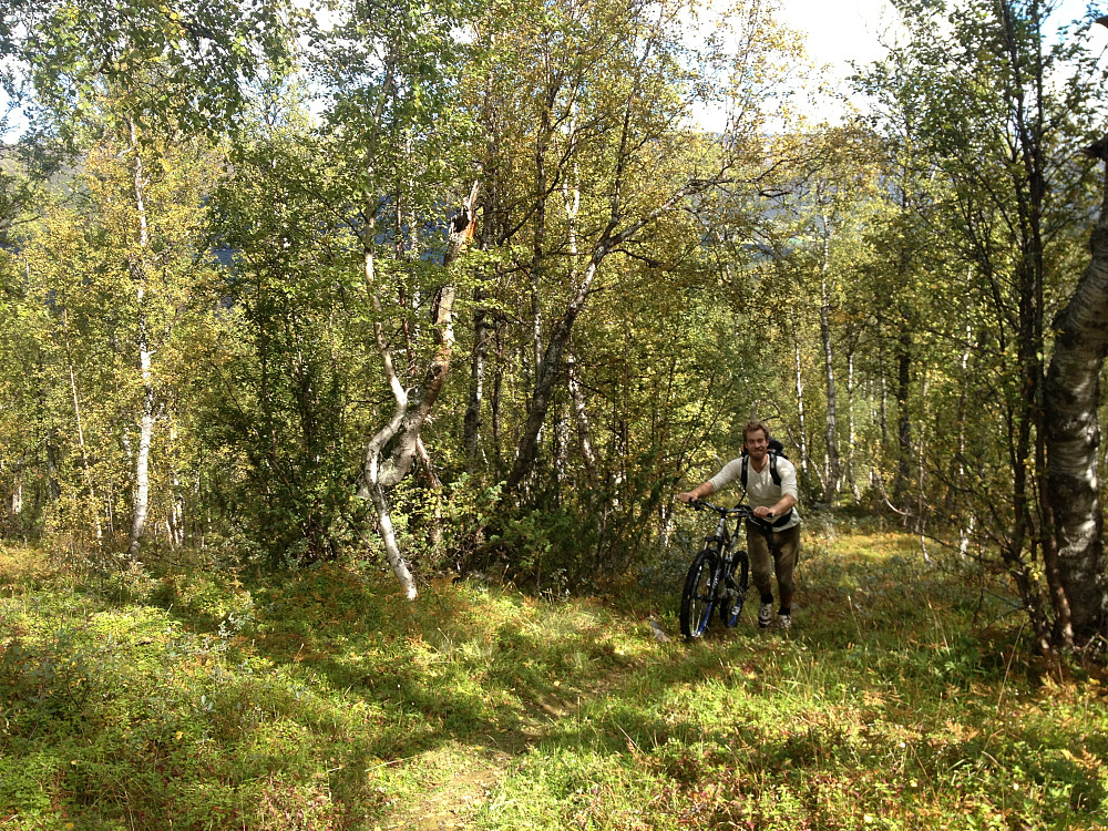 Mot Koiesteinen. Super flytsti.