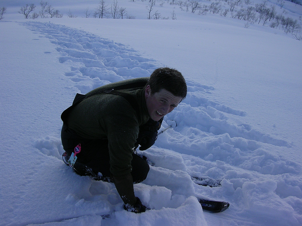 Sindre slet med fellene, og måtte dessverre snu før vi kom opp på Steinberget.