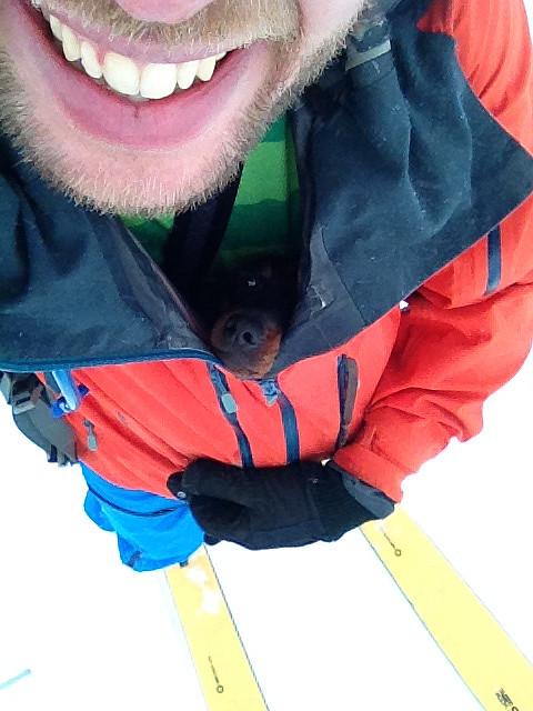 Grisen syntes det ble i kaldeste laget i snøføyka.