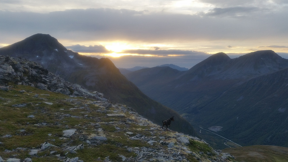 Fra Blåtinden mot Ørskogfjellet.