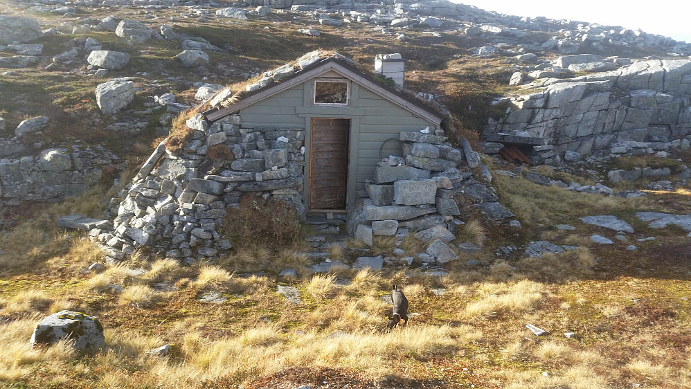 Hytta på Ølsnosa