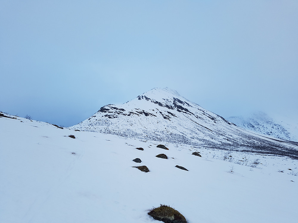 Etter 4-5 km anmarsj kom ryggen på Litlevasstind omsider til syne