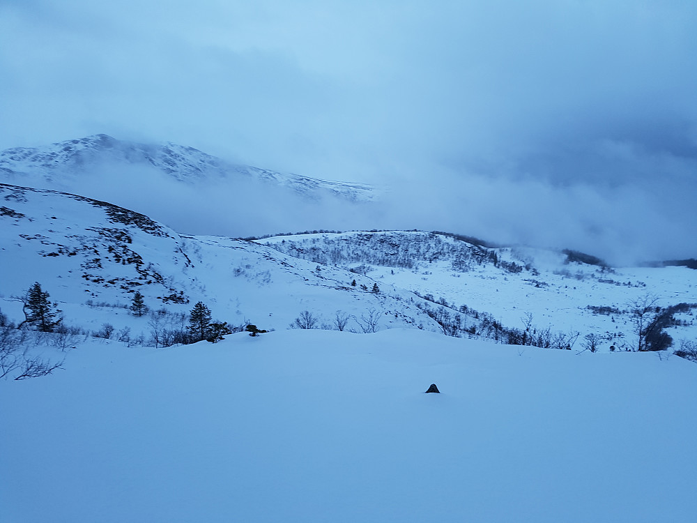 Giskemonibba