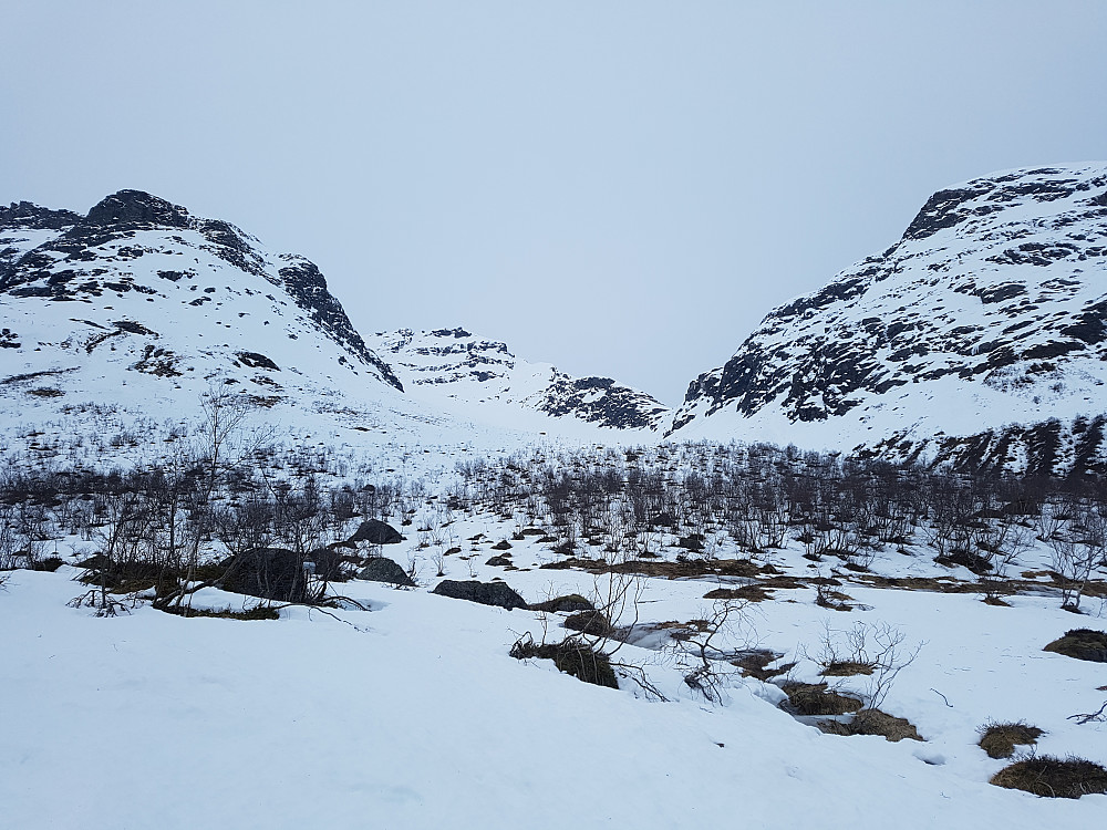Nedre del av Ryssdalen
