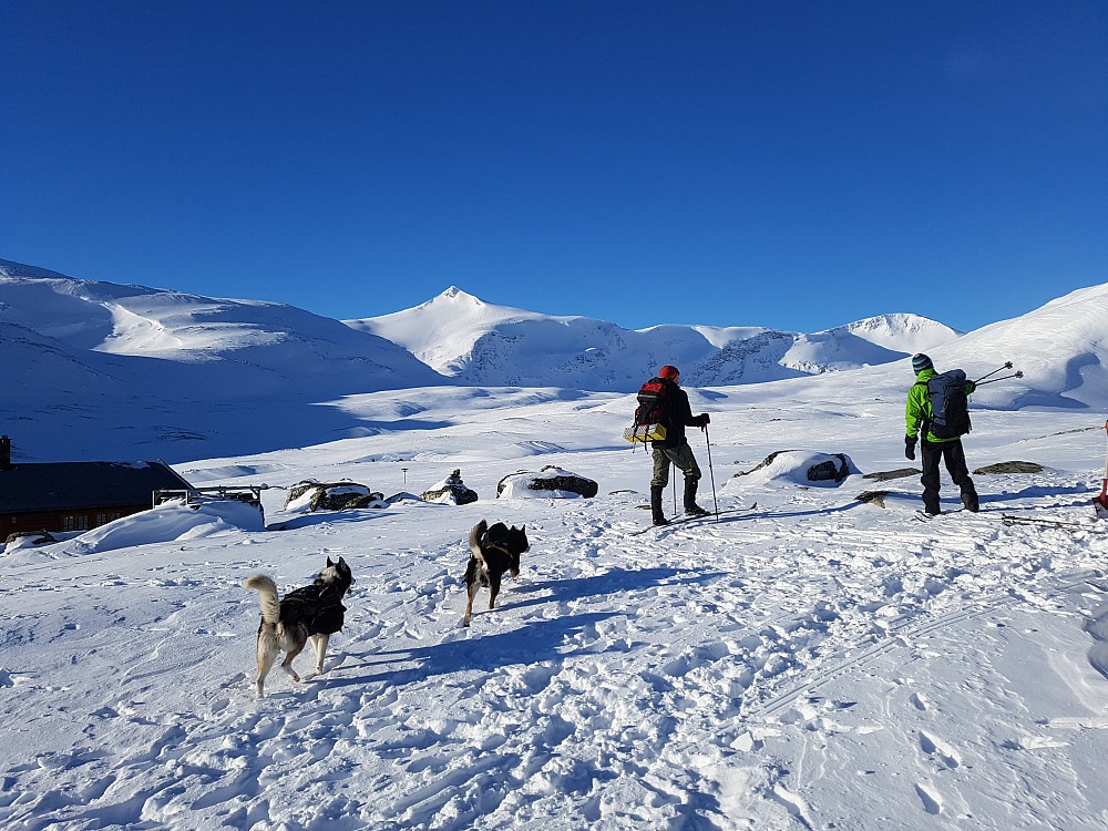 Avmarsj fra Pyttbua. Stig og Sigurd gikk direkte mot Torsbu (med en avstikker til Karitind), mens jeg og Kristian la ut på en runde mot toppene nordvest for Pyttbua.