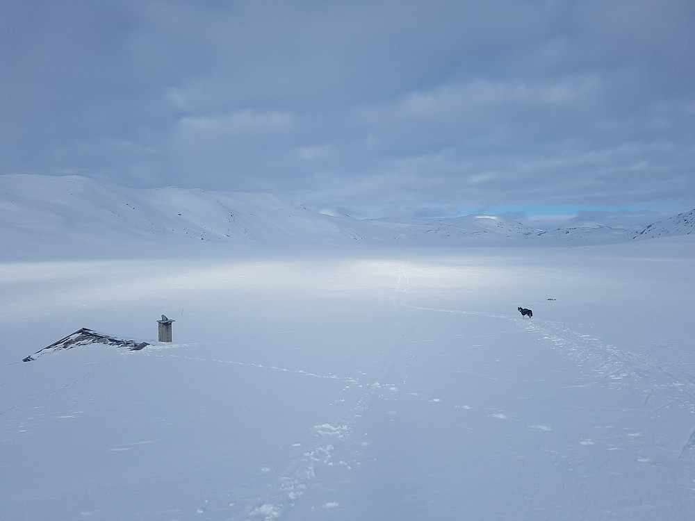 Glad jeg ikke skulle gå tilbake de 5 kilometrene over vannet som ble gått i 15-20 minus i bekmørket kvelden før.