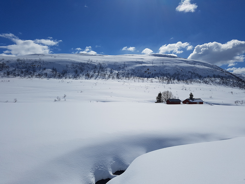 Selv om temperaturen var høy i sola, var det tørr nysnø av ypperste sort i nordsida ned mot Kavlisetra. Trimturen ble derfor kronet med noen veldig fine svinger.