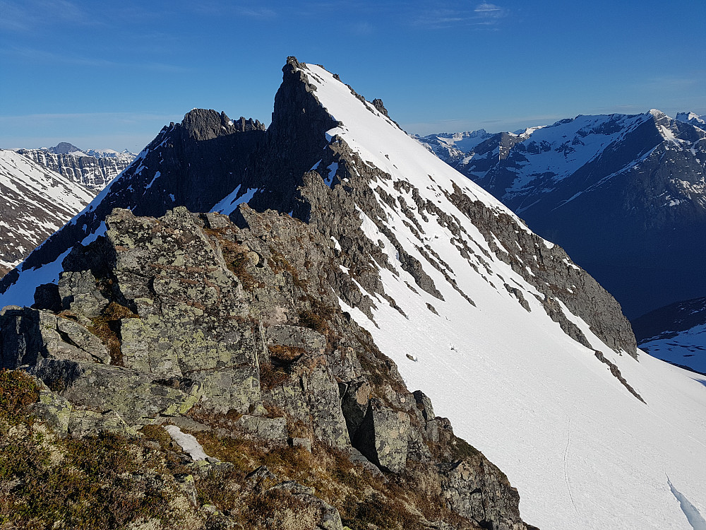 Her måtte jeg ned i vestsida mot Nesdalen. Gikk deretter videre over den navnlse toppen midt i bildet mot Saudehornet.