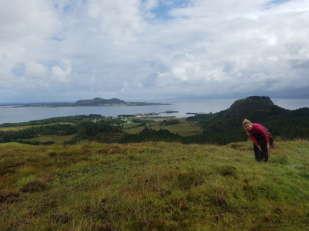 Magnific utsikt mot Harøya og Harøyburet.