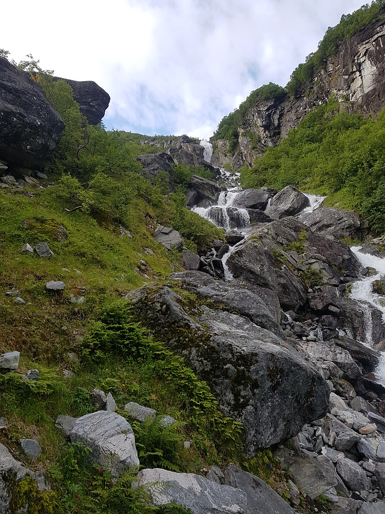 Her ser det idyllisk nok ut, men elva kunne bare følges i 50 meter før det bar inn i tett kratt og kampesteinvirrvarr igjen.