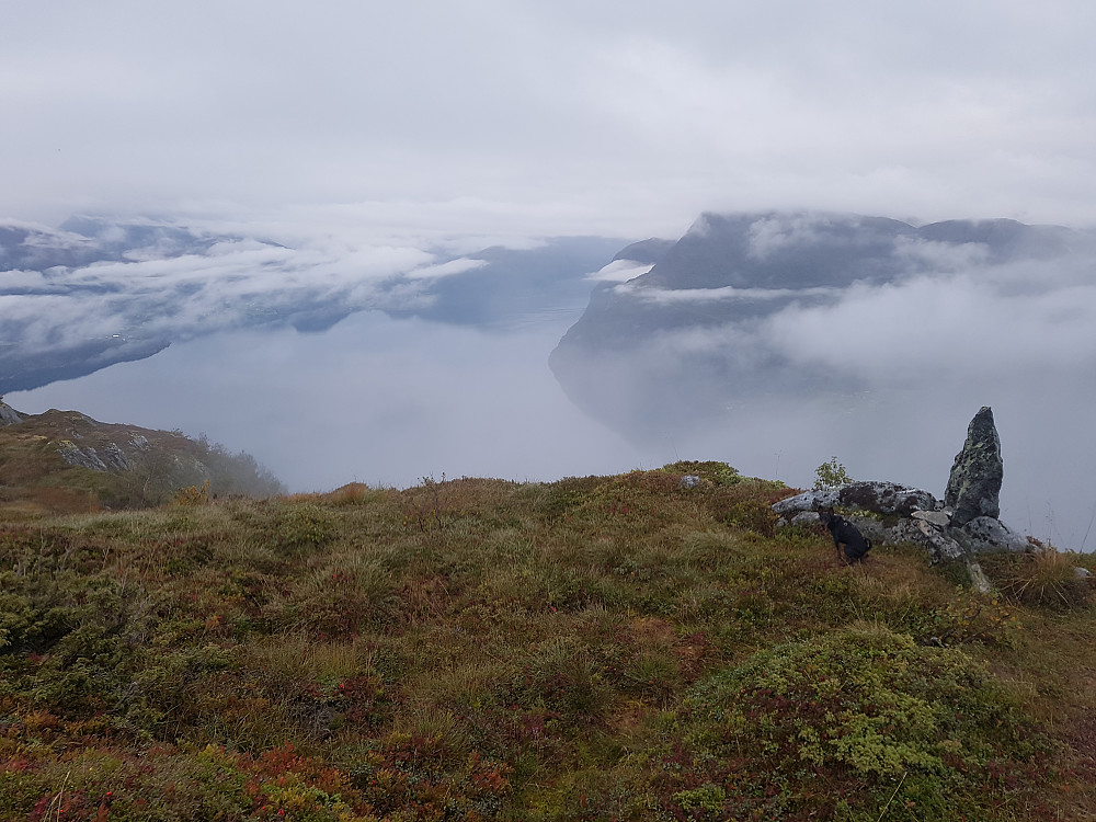 Fra Søvikhornet mot Storfjorden. Grått og litt fuktig i dag, men rundt 15 grader i lufta trakk opp.