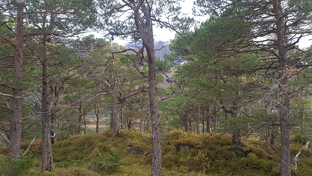 Storslagen utsikt fra toppen.