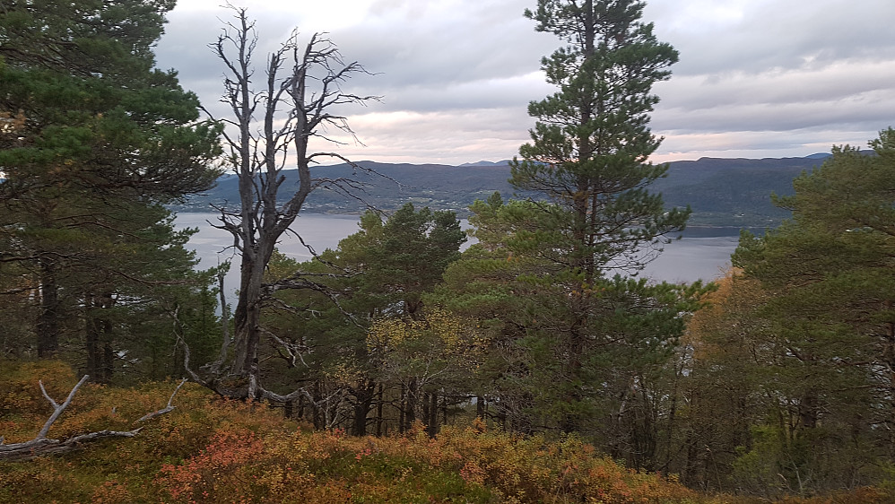 Storslagen utsikt fra toppen.