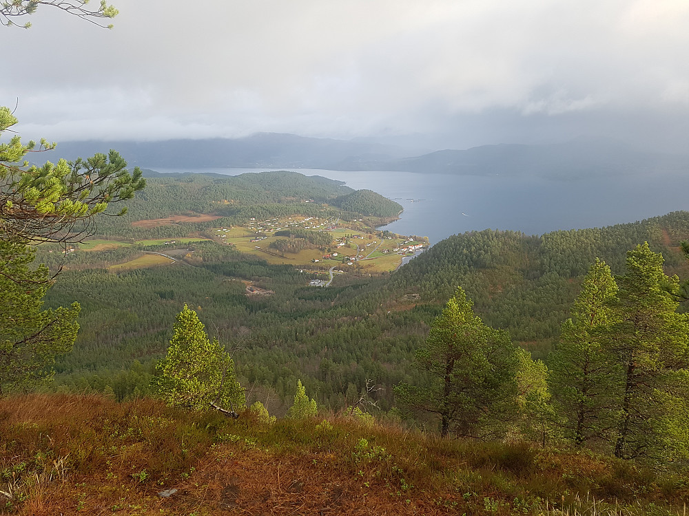 Angvika