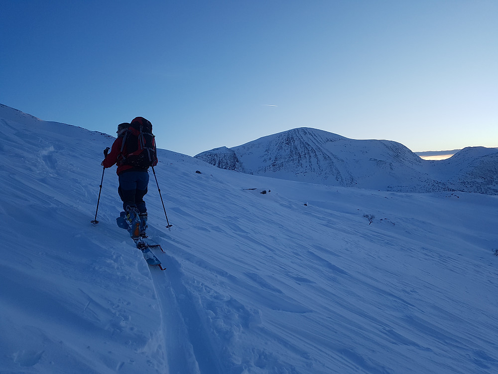 Kjersti i siget med Urdfjellet bak