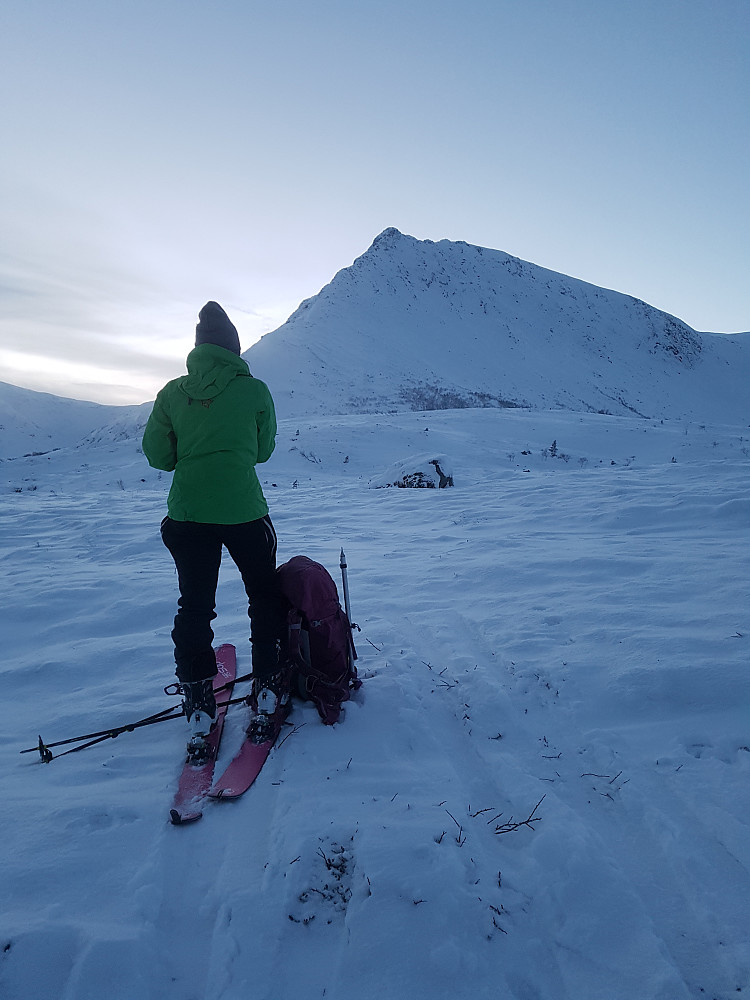Vi nærmer oss starten på ryggen. Fint skiføre til 580 moh denne dagen. 