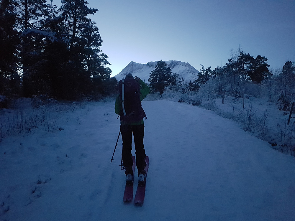 Ganske så fint lys da vi starta å gå oppover skogsveien mot setra. Vi fikk også nordryggen og Luten rett i siktelinja. 