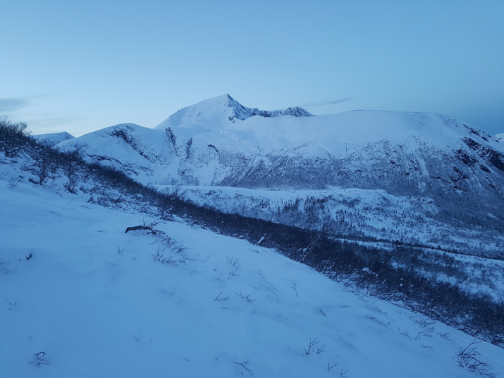 Østsida på Kvannfjellet. Ser ut som ei fin skilinje.