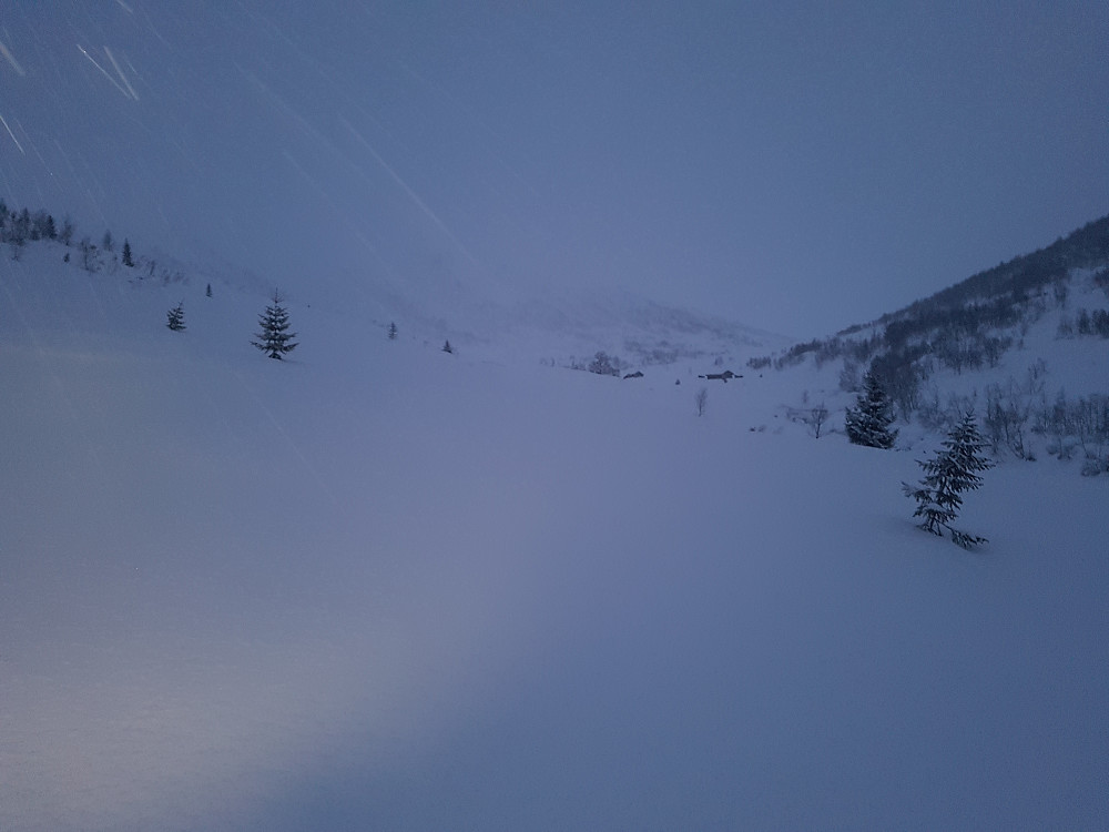 Jasvollstølen