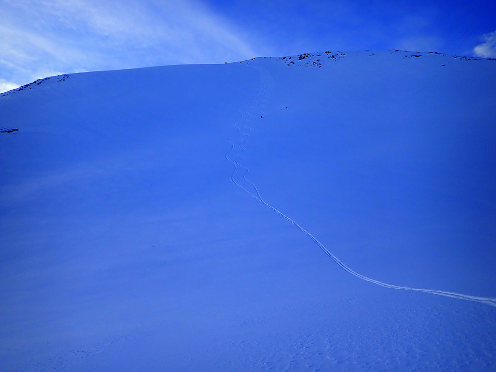 Nedkjøringa østover fra Vatnedalsegga. Bare litt over 200 høydemeter, men for en snø!
