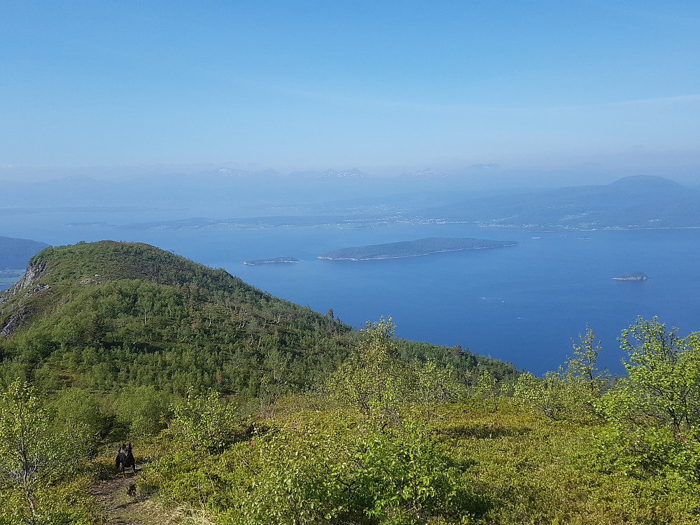 Fra Skåla mot Veøya og Nesjestranda