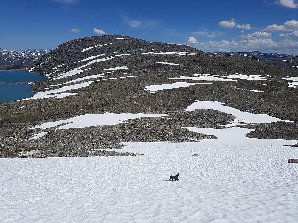 Mange fine snøfelt å skli på ned fra Grøvåeggen i retning den noe uinteressante Høvelkampen (tv. i bildet).