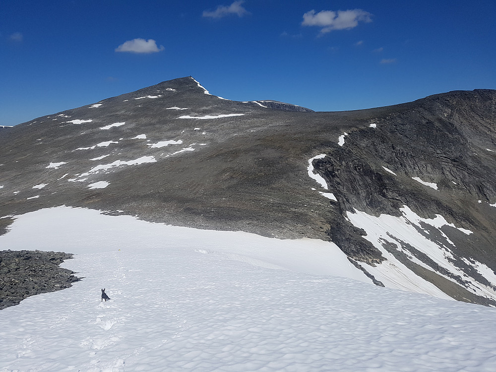 Ned fra Kaldbottinden var det en del grov ur, men vi fikk litt hjelp av et snøfelt på siste biten ned i skaret mot Børa. Fint underlag opp mot Børa herfra.