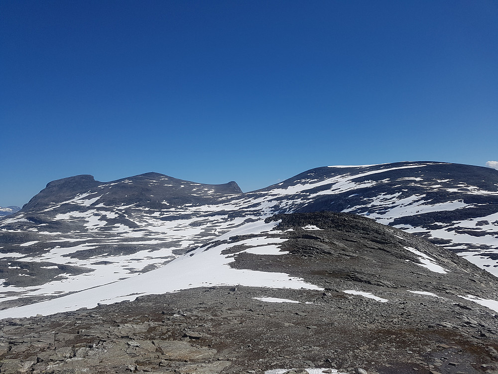 Den litt tamme vestsida av Kaldbottinden, Børa og Kleinegga sett fra Kaldhøa som jeg og Ylva jogga innom.