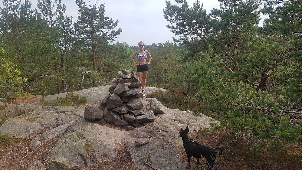 Haraldsfjellet var ikke mye å skryte av, men stien så godt egnet ut for stisykling både sørover og nordover (betydelig brattere og mer teknisk mot nord).