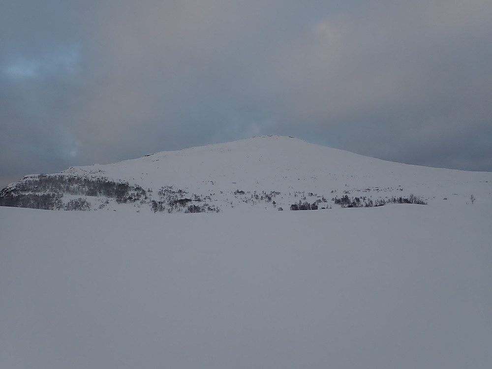Sørsida på Storfjellet. Plass til mange skispor ned her og fin helling for skikjøring.