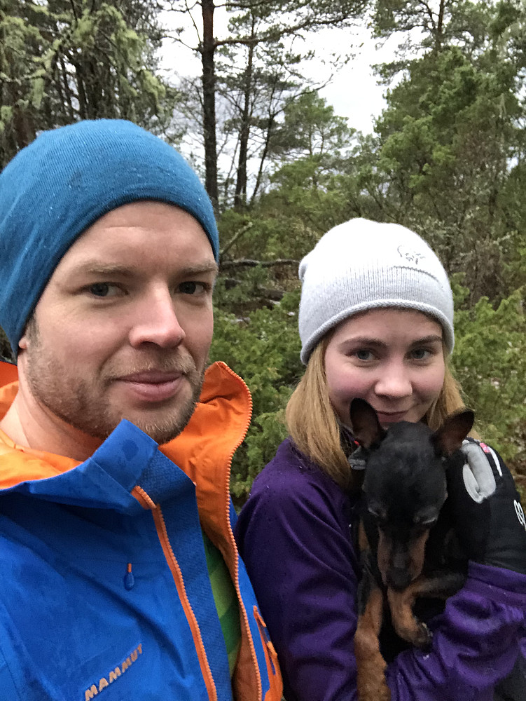Klassisk skogstopp med et ørlite fjordgløtt fra toppunktet.