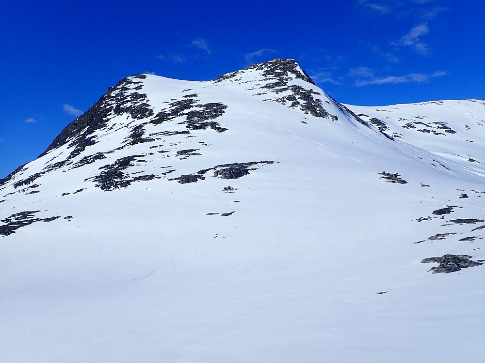 Deler av nedkjøringa fra topp 1741. 500 høydemeter med flott skiterreng og god snø.