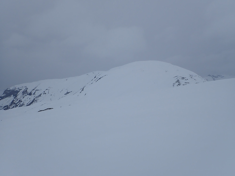 Breifjellet. Forsvarer for så vidt også navnet sitt. Ikke mye spektakulære formasjoner her, selv om fjellet kan by på ei bratt, stor og lang sørside som innbyr til skikjøring (på en dag med mindre flatt lys enn i dag), og fine nedkjøringer både nordøstover, østover og nordover hvis man først kjører mot topp 1572.