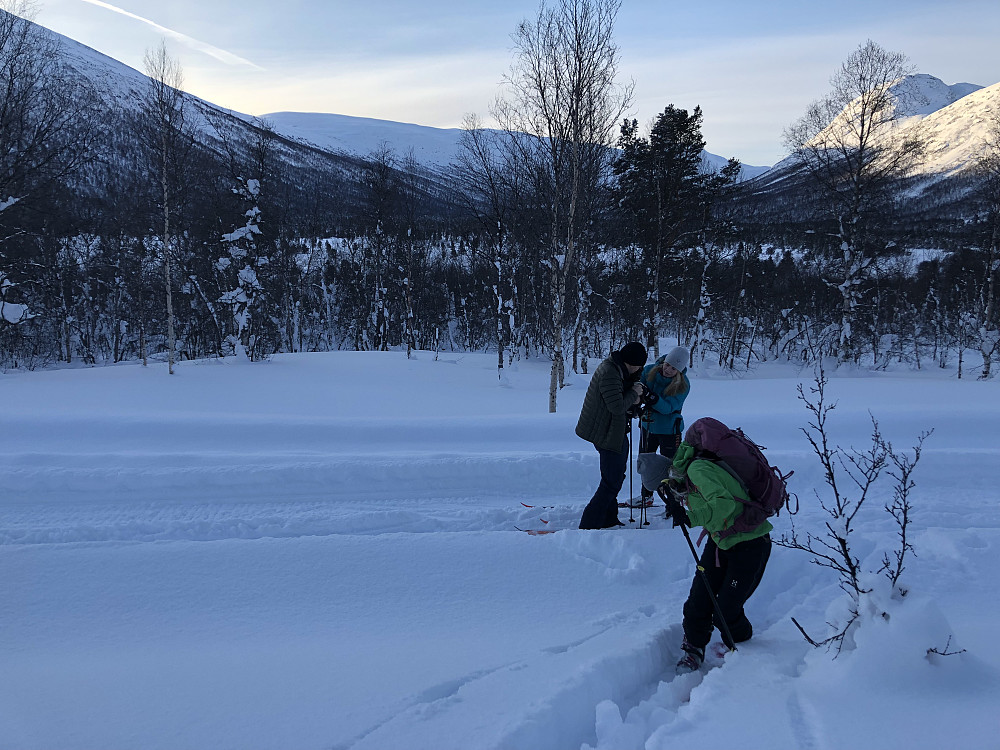 Her var det slutt på skogsvei og scooterspor. Ble ei god treningsøkt opp lia. Mye snø!