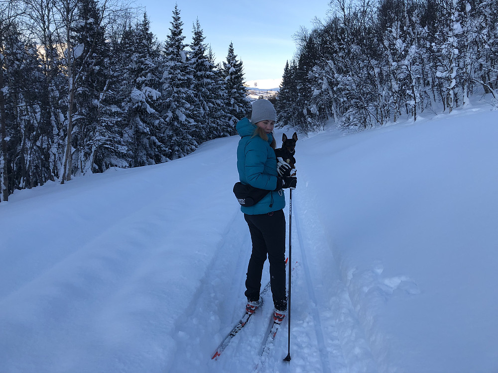 Etter ti min ble vi tatt igjen av en fyr på scooter som skulle ut og legge ut et påkjørt rådyr i ei jervefelle. Ylva fikk 15 sek potevarmepause.