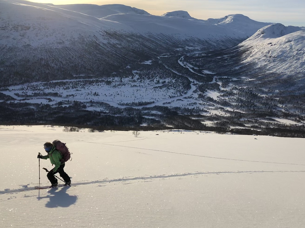 Linja vi gikk opp har mye fin skogskjøring som går over i ei åpen fjellside som er som skapt for skikjøring og store svinger.