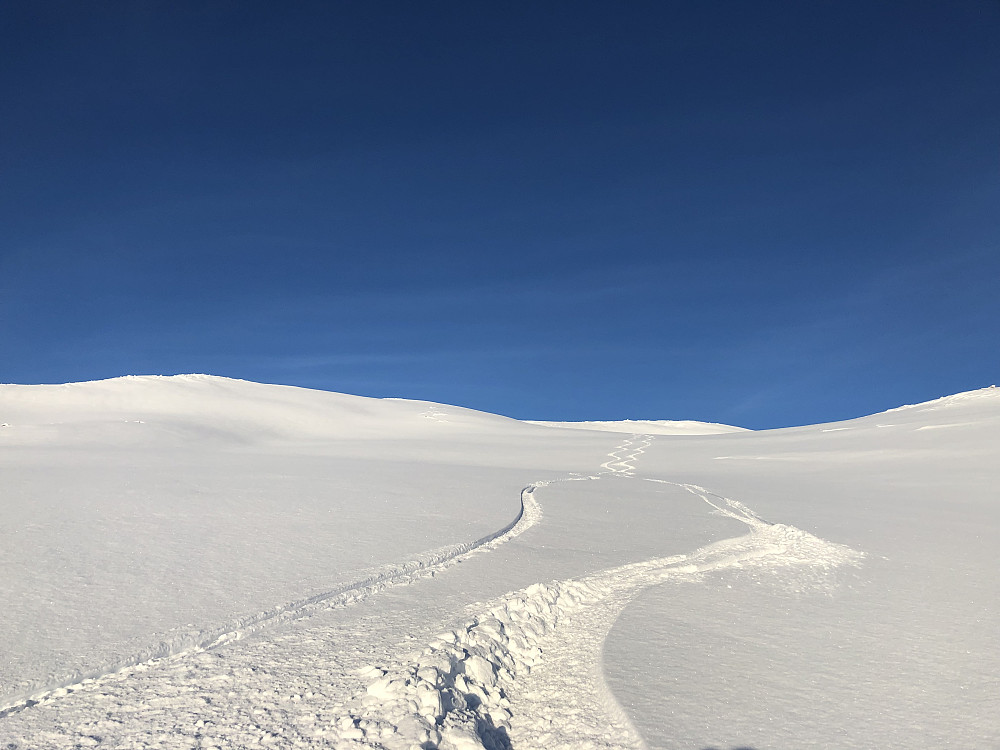 Nedkjøringen vi valgte er slak, åpen og fin til setra. 